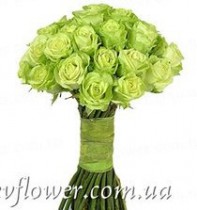Bouquet of 25 roses